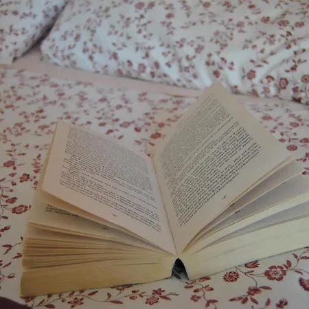 Pisaland Bed & Breakfast 3*