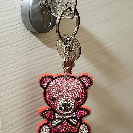 B ＆ B ピサランド