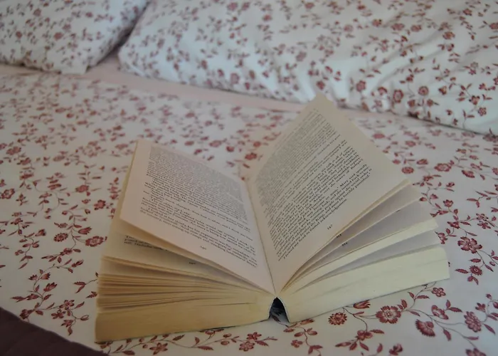 Pisaland Bed and Breakfast 3*